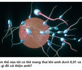 CHẾ ĐỘ ĂN CHO BỆNH NHÂN AMH THẤP