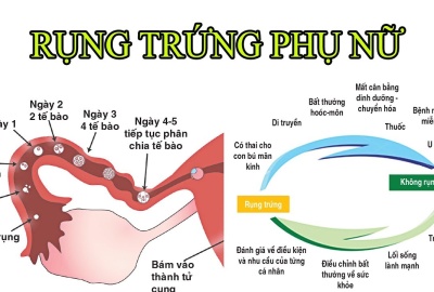 LÀM SAO ĐỂ BIẾT TRỨNG PHÁT TRIỂN TỐT VÀ RỤNG ĐỀU